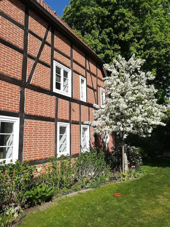 Apartment In Ruhiger Wohnlage Sie Sind In 3 Minuten Am Trebbower See Oder In 30 Minuten An Der Ostsee Klein Trebbow Ngoại thất bức ảnh
